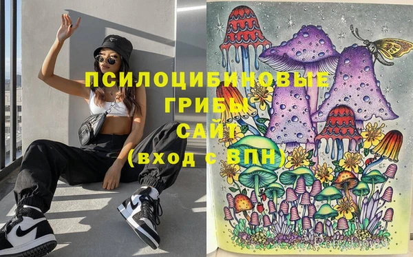соль курить ск Аркадак