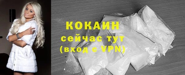 ешки Арсеньев