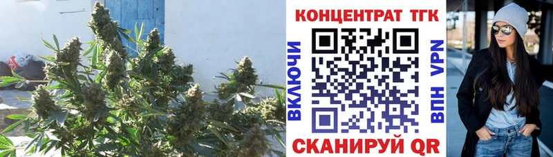Купить закладки  Усолье-Сибирское  ТГК гашишное масло 