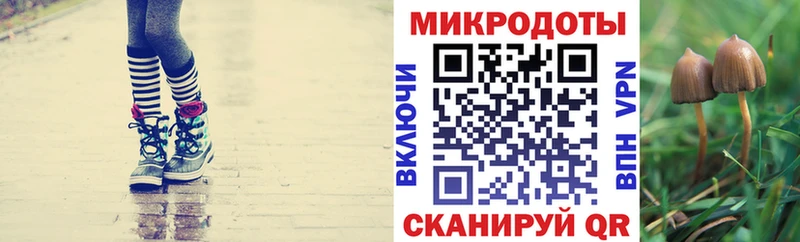 Галлюциногенные грибы Magic Shrooms  Купить  Усолье-Сибирское 